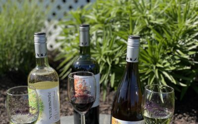 Kiss the Ground and Wash it Down with Veramonte Wines – Happy Earth Day