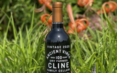 Happy 40 Years Cline Family Cellars