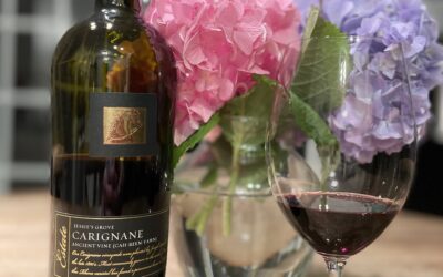 Carignan – Beauty in a Glass