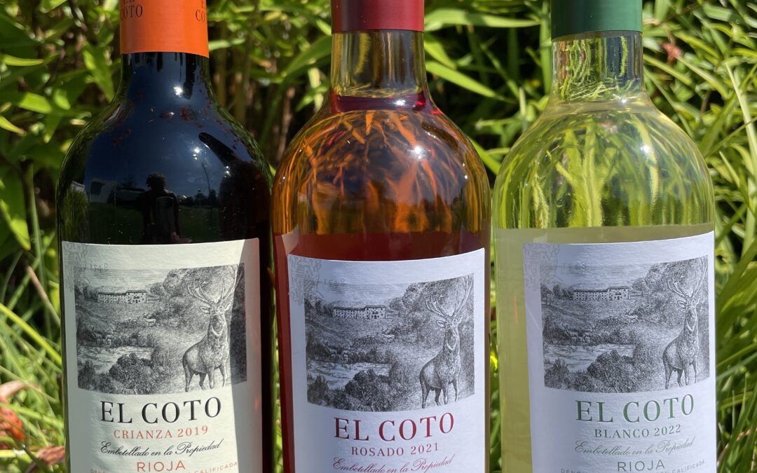 El Coto Winery: A Gem from Rioja, Spain