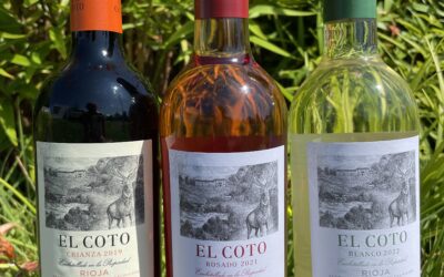 El Coto Winery: A Gem from Rioja, Spain