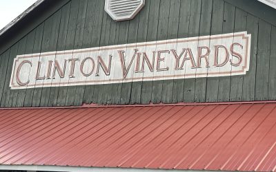 Clinton Vineyards Bought By Milea Vineyards-What It Means for Hudson Valley Wine’s Future & Identity