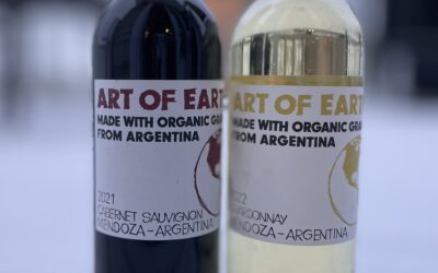 Keeping Warm on a Cold Snowy Winters Night with Art of Earth Wines