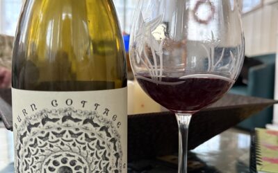 The Pinot Noir I Almost Didn’t Open (And I’m Glad I Did)