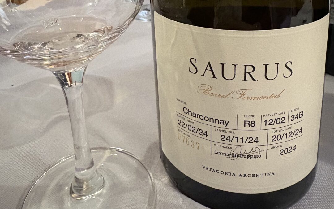 Patagonia – Where the End of the World Meets Extraordinary Wine