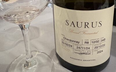 Patagonia – Where the End of the World Meets Extraordinary Wine