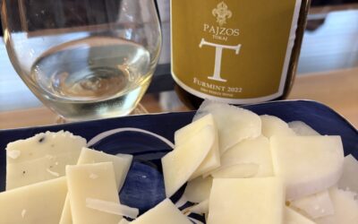 Wine of the Week: Pajzos 2022 T-Furmint – A Dry Taste of Hungary
