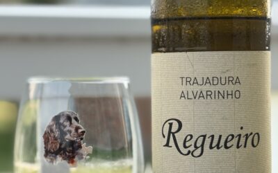 Wine of the Week: Regueiro Trajadura/Alvarinho Branco 2024