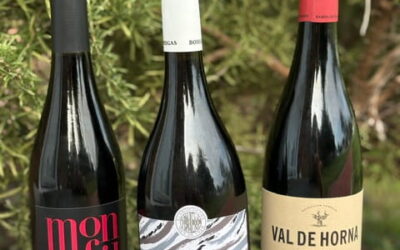 Grape of the Month: Garnacha — Summer Spunk Meets Fall