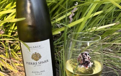 Wine of the Week: Pierre Sparr 2022 Riesling — A Little Alsace in Your Glass