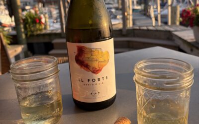 Wine of the Week: Il Forte Gavi DOCG — Sometimes You Just Grab a Bottle and Go